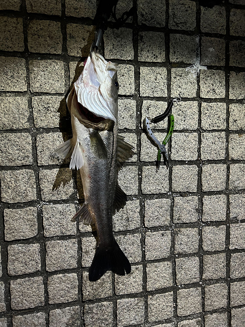 Sumida-Riv_Feb2024_2